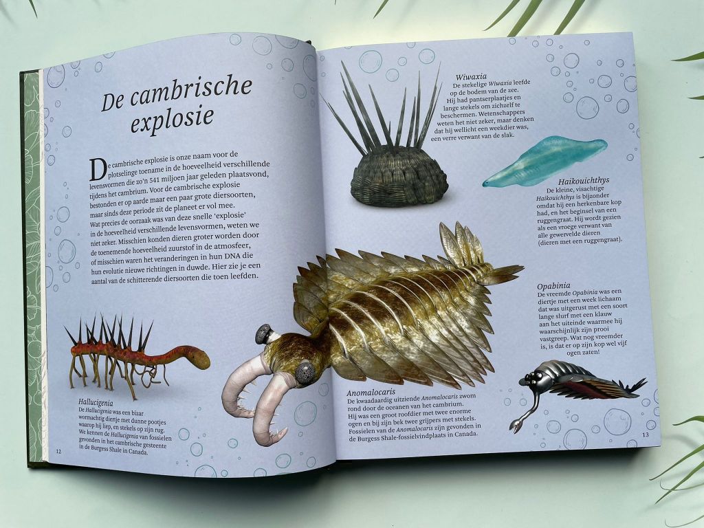 Het dikke boek van alle bijzondere dino's