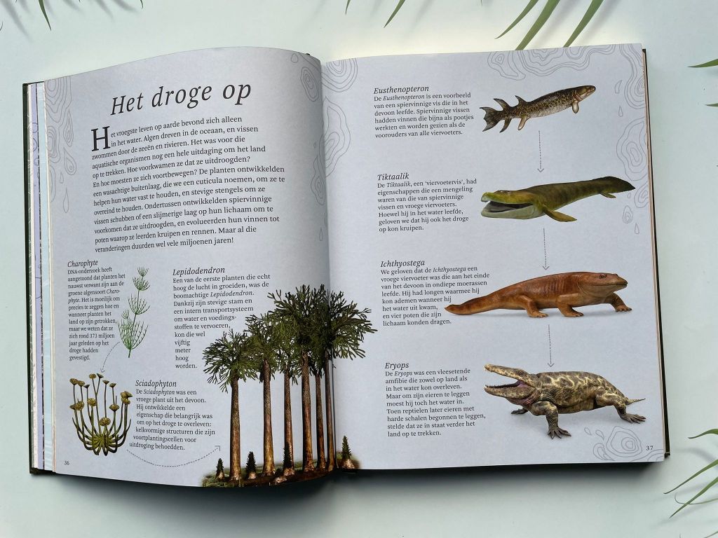 Het dikke boek van alle bijzondere dino's