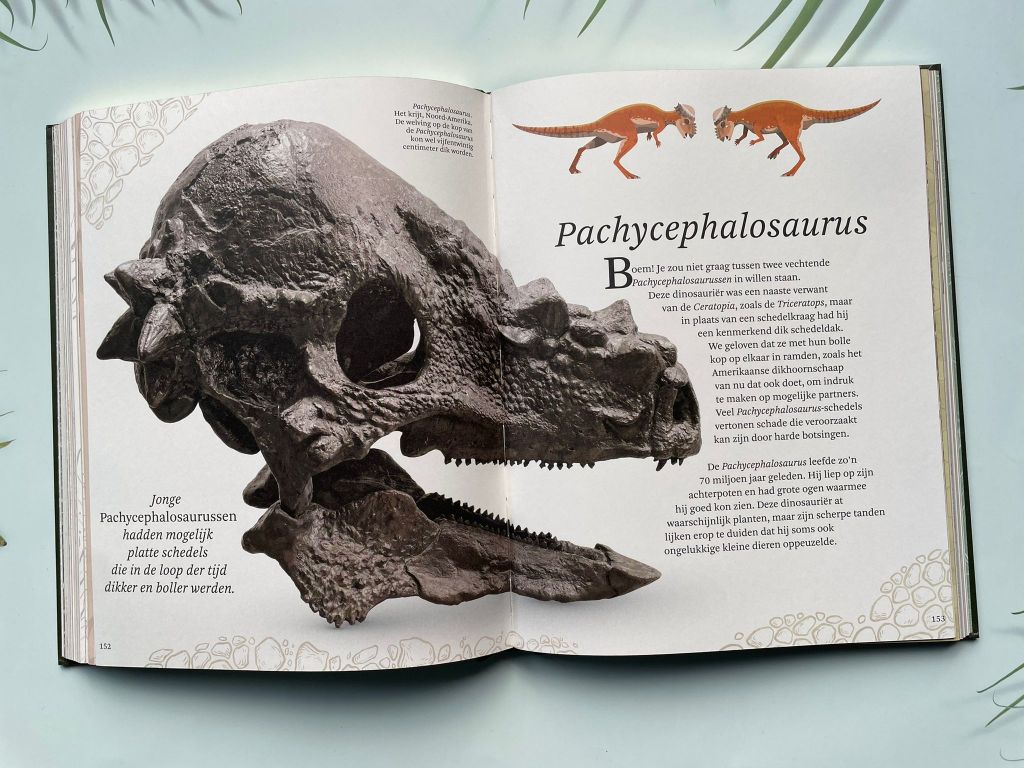 Het dikke boek van alle bijzondere dino's