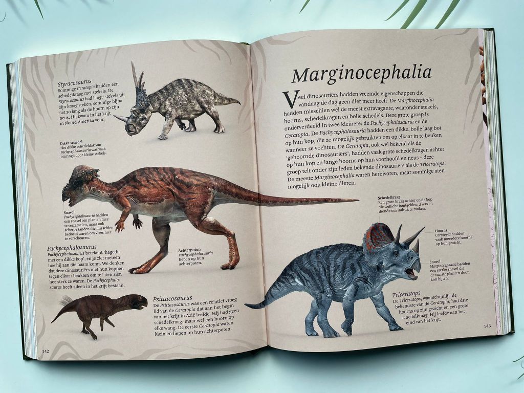 Het dikke boek van alle bijzondere dino's