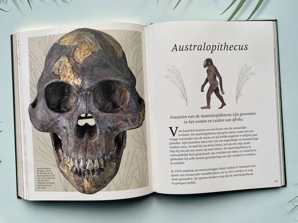 Het dikke boek van alle bijzondere dino's
