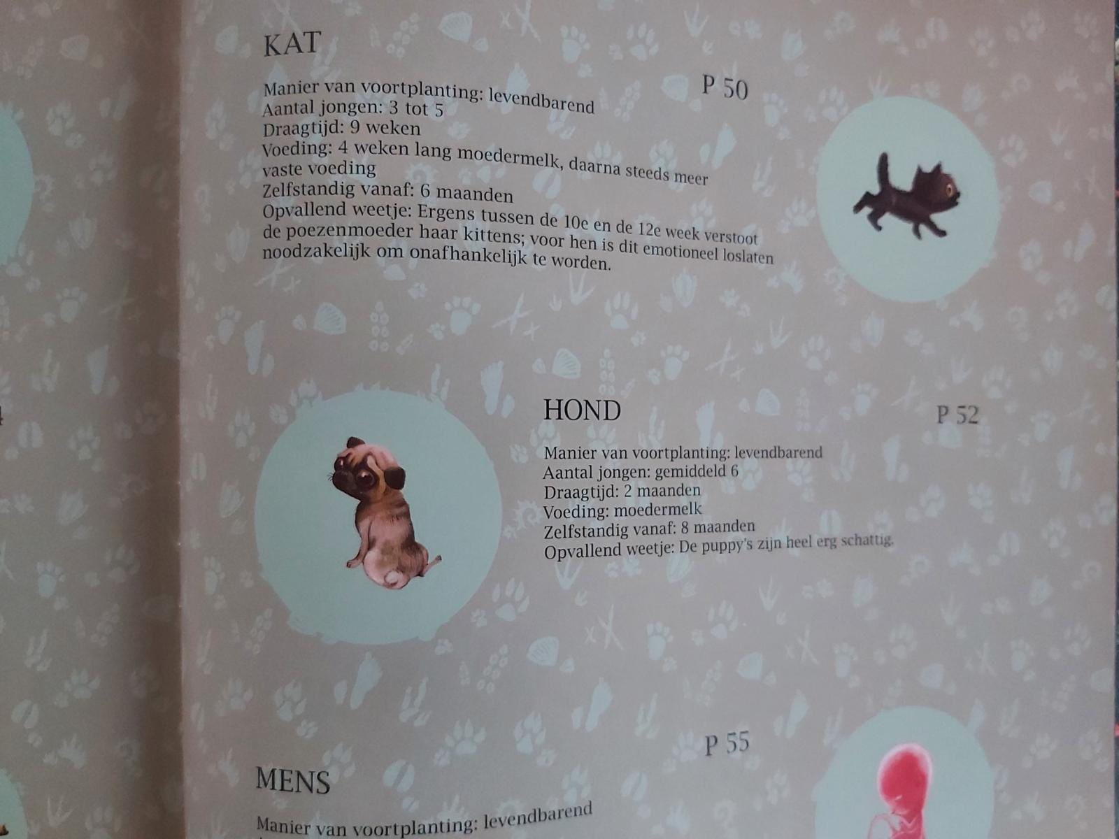 extra info dieren