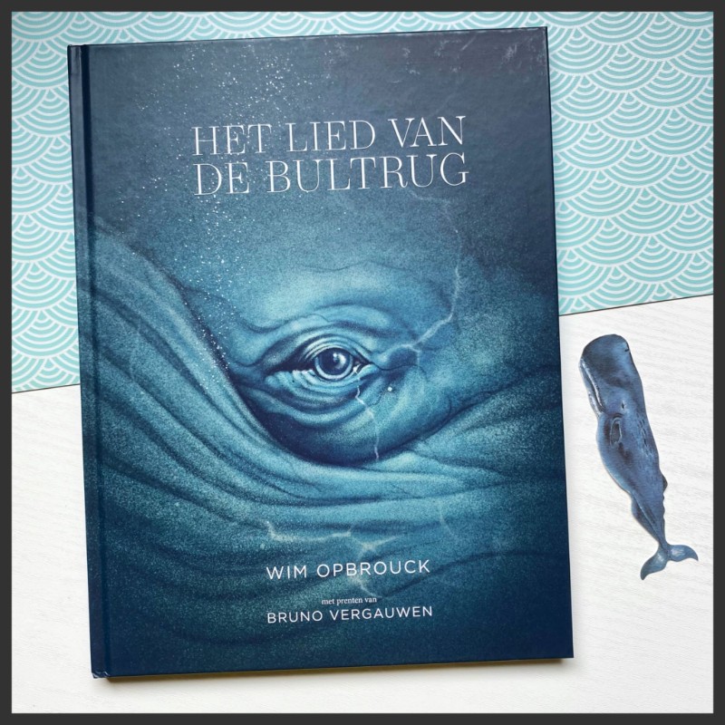 hoofd Het lied van de bultrug