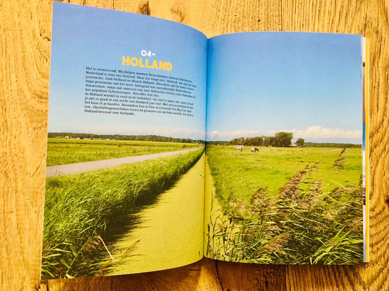 Reizen Waes Holland