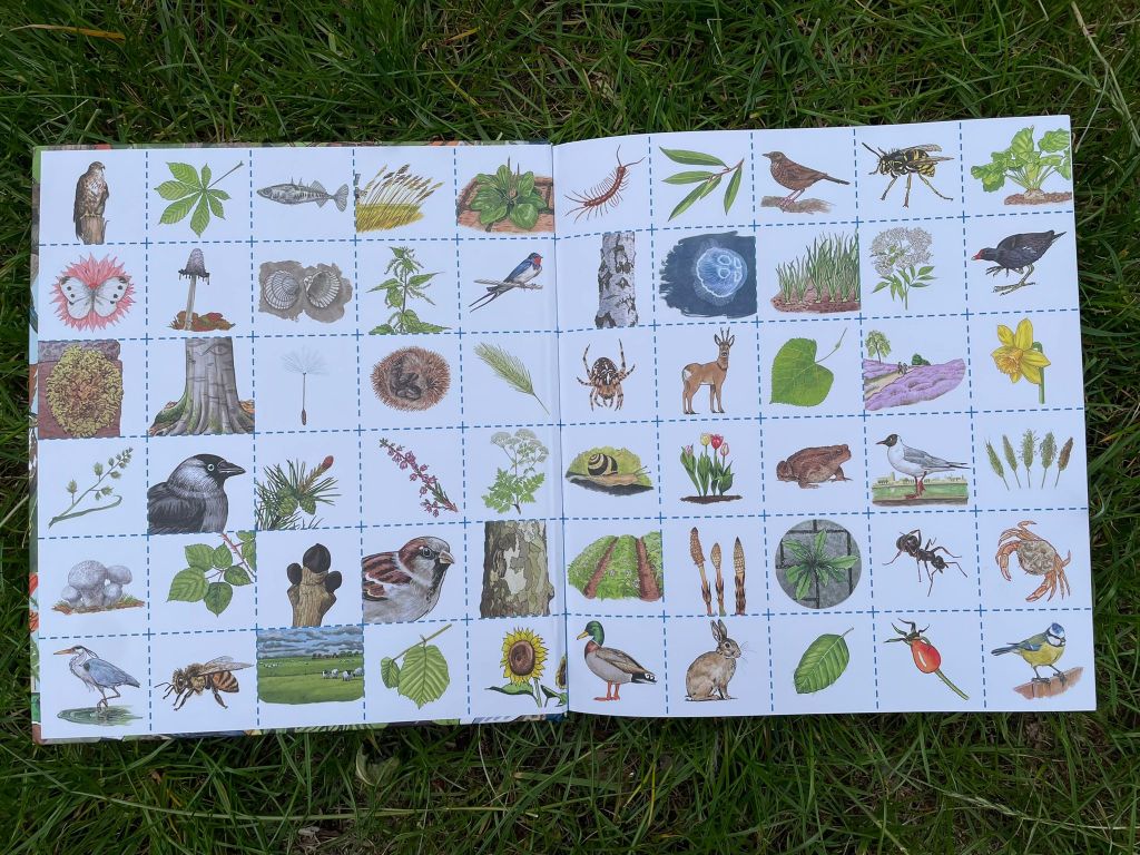 natuur kaartjes