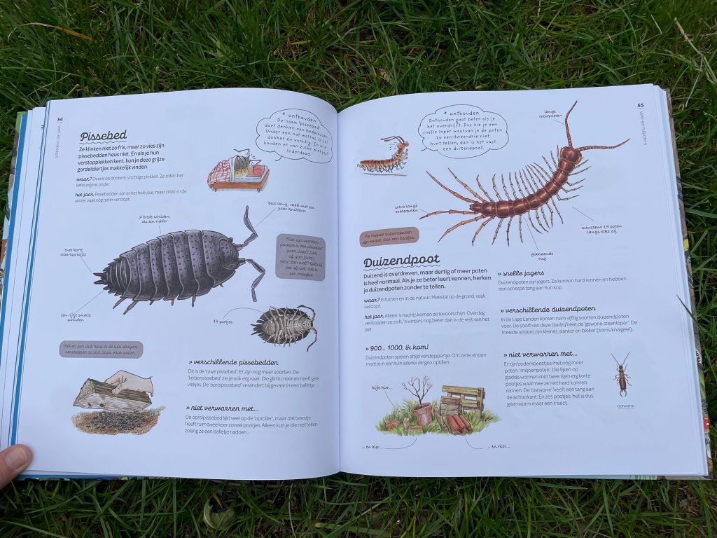 insecten