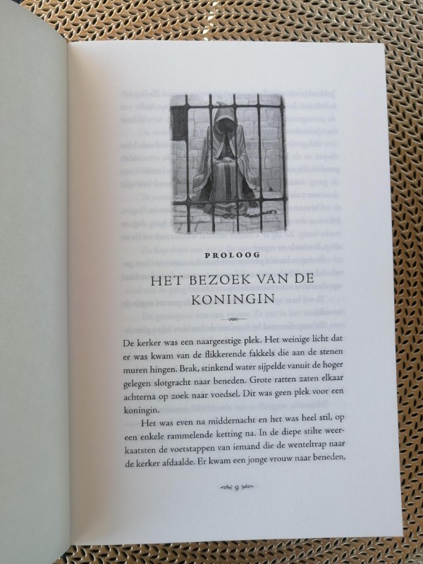 Het verborgen land