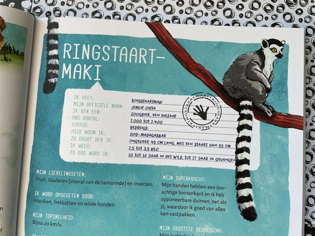 ringstaartmaki