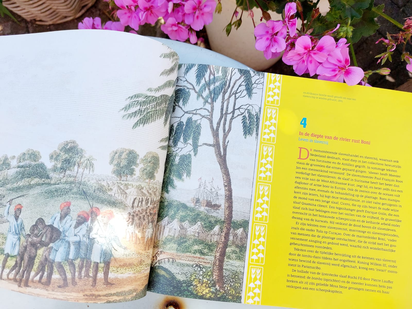 Album van de Caraïbische poëzie