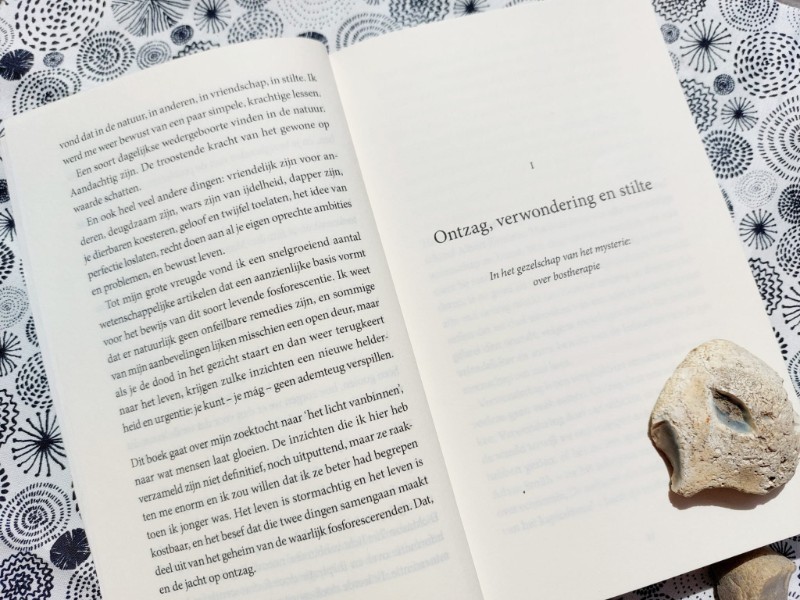 ontzag verwondering en stilte