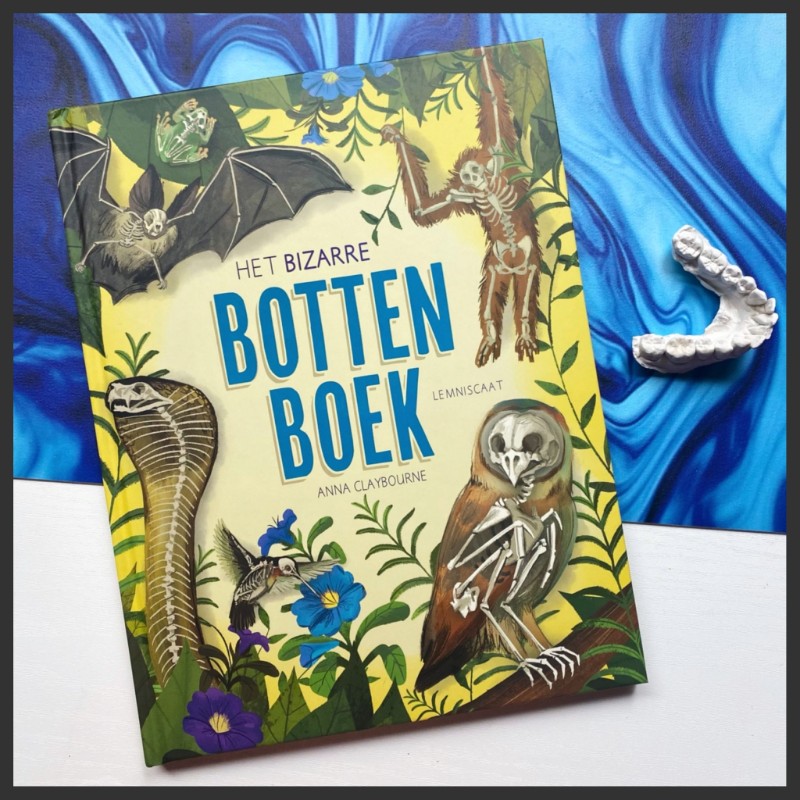 hoofd Het bizarre botten boek