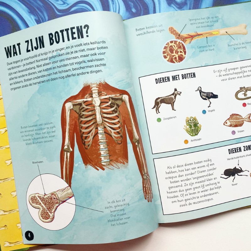 Het bizarre bottenboek