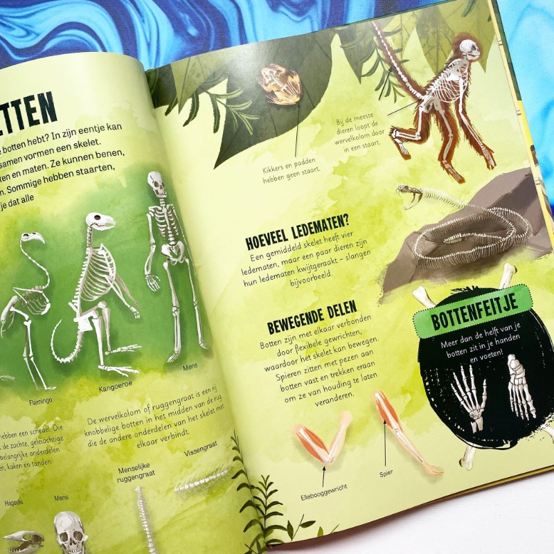 Het bizarre bottenboek
