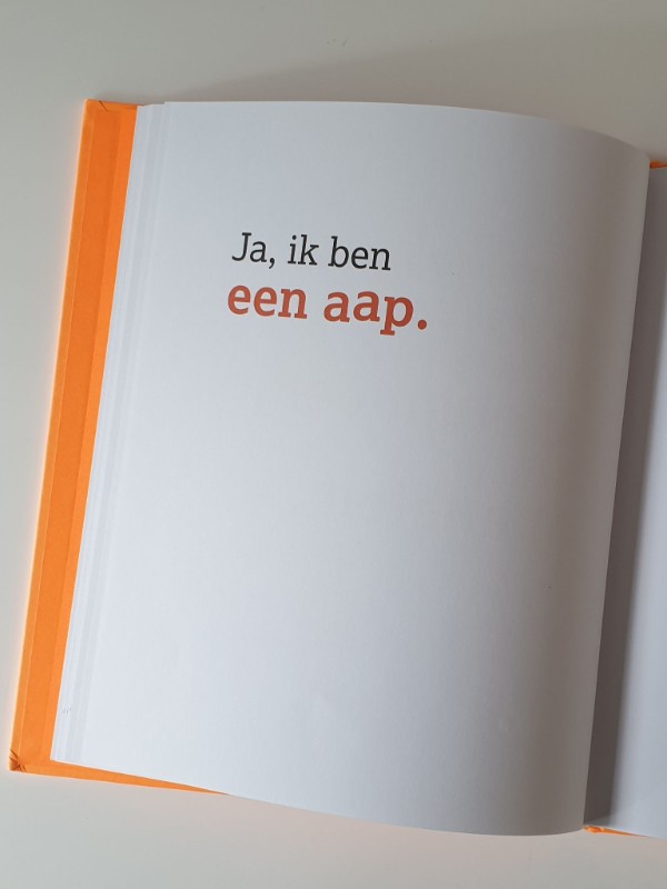Het boek zonder tekeningen
