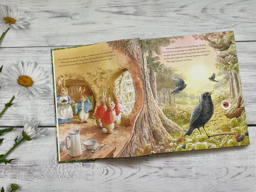 Pieter Konijn een dag in de natuur
