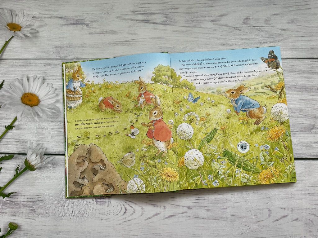 Pieter Konijn een dag in de natuur