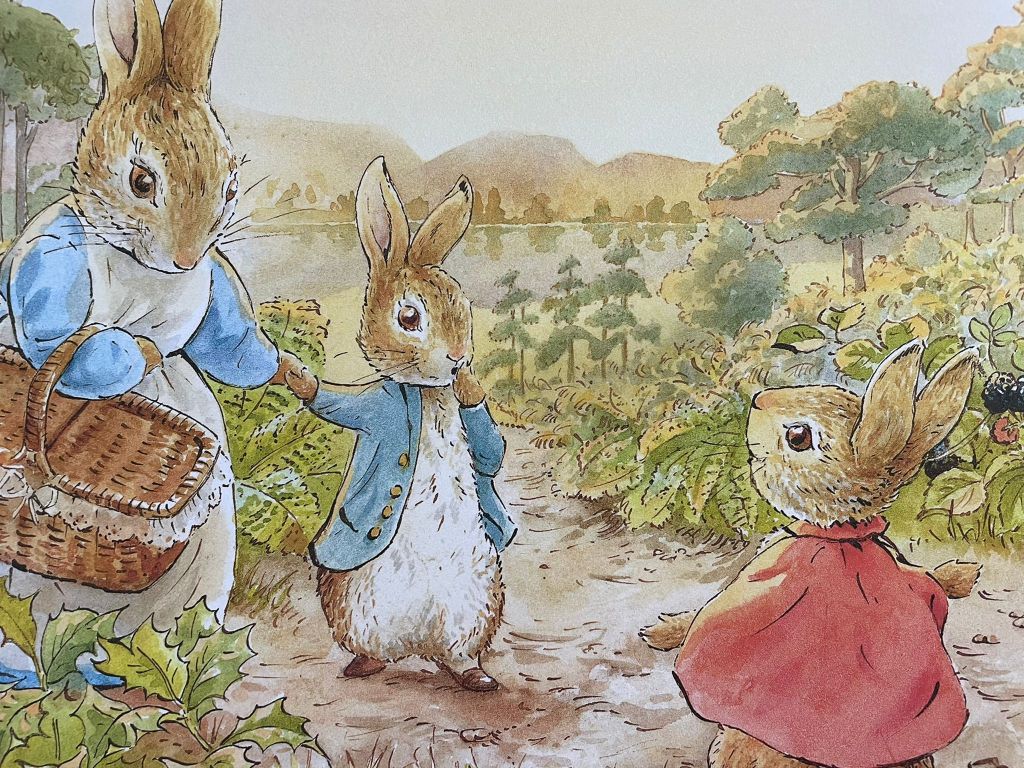 Pieter Konijn een dag in de natuur
