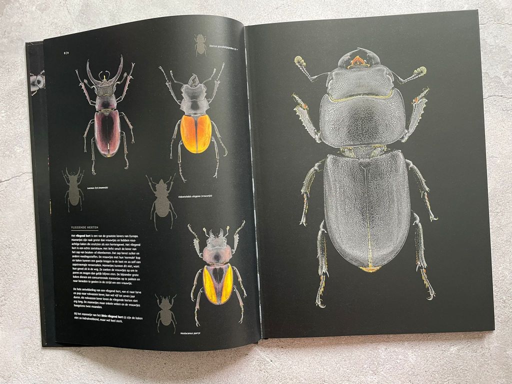 Een boek vol insecten