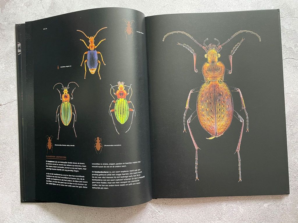 Een boek vol insecten