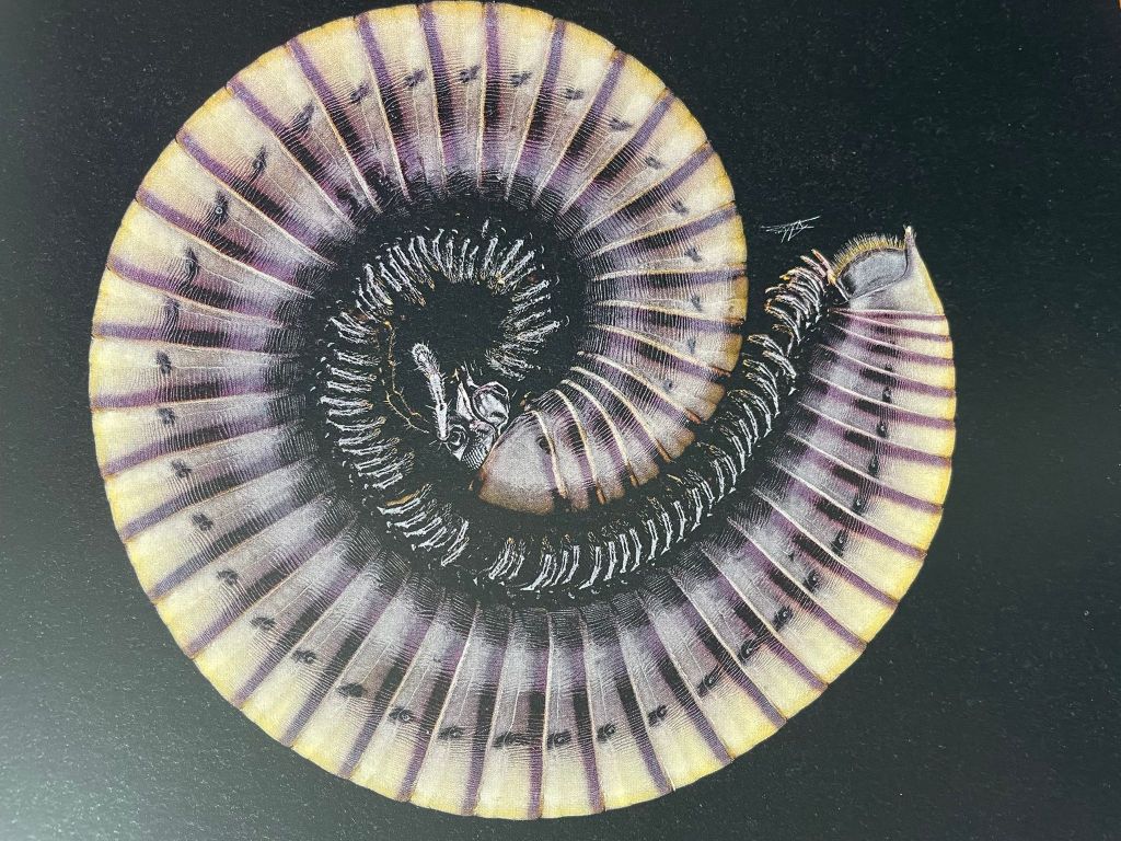 Een boek vol insecten