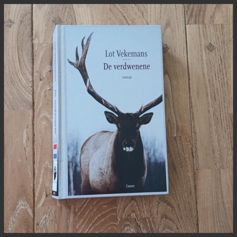 hoofd De verdwenene