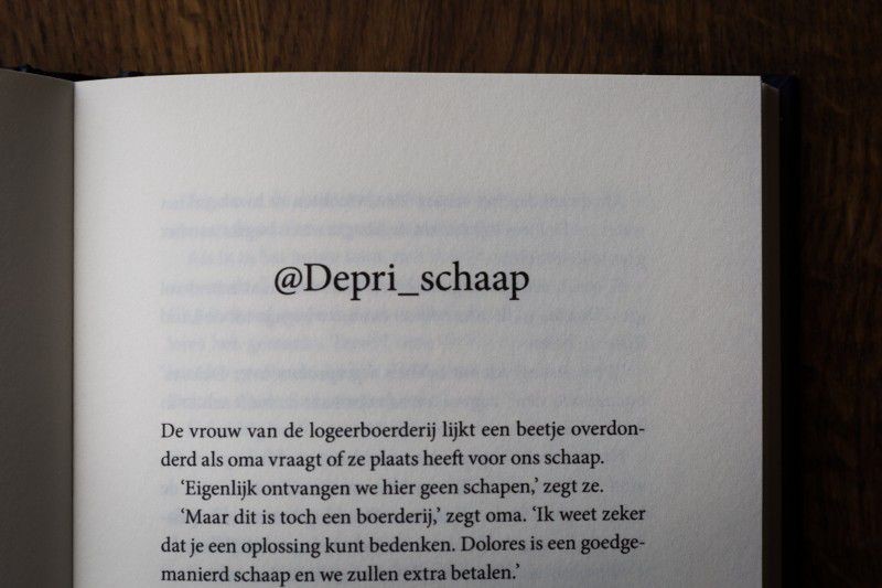 Dingen die ik niet over schapen wist