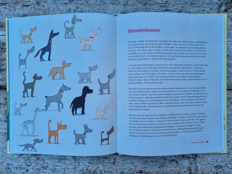 Het eigenwijze huisdierenboek