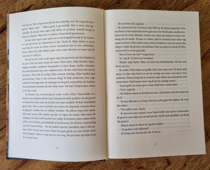 Het lied van de vreemdeling Linda Dielemans stoerLeesVoer Het lied van de vreemdeling Linda Dielemans stoerLeesVoer