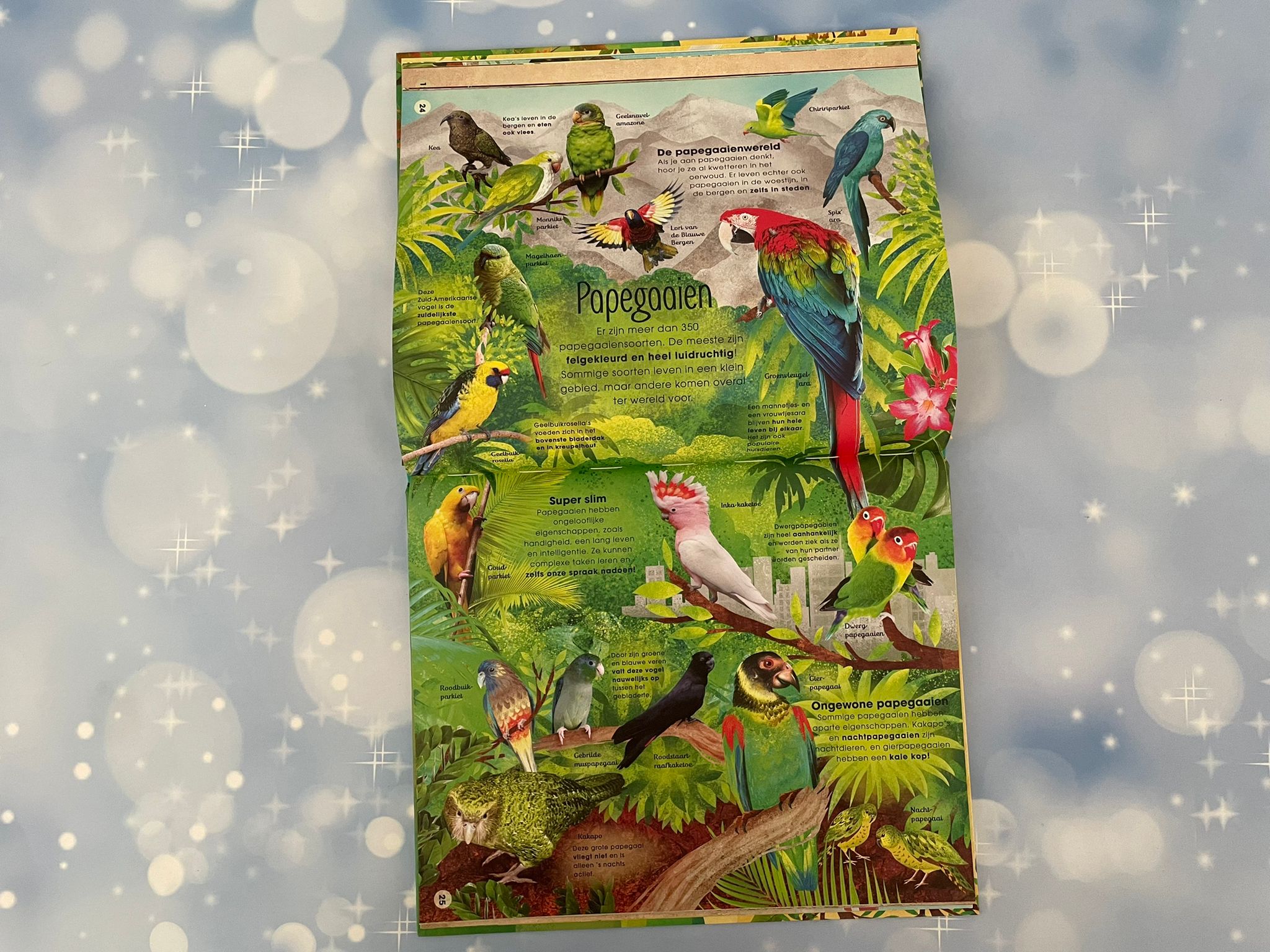 De wonderlijke wereld van vogels