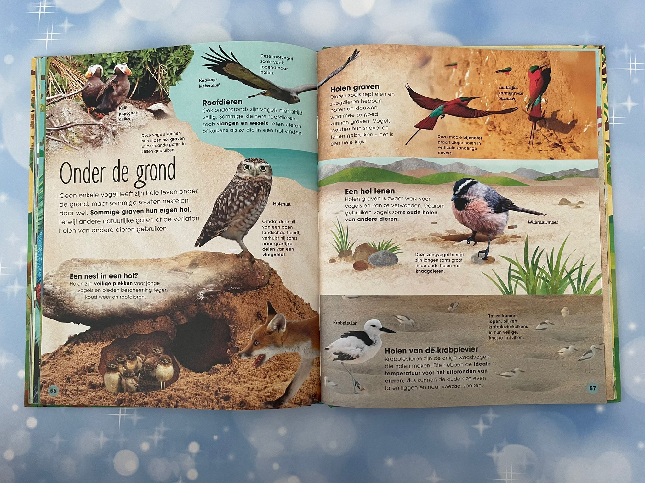 De wonderlijke wereld van vogels