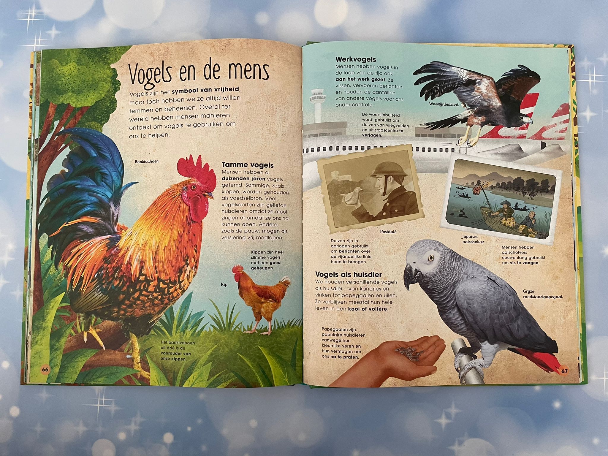 De wonderlijke wereld van vogels