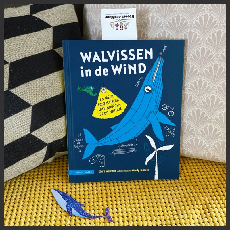 hoofd Walvissen in de wind