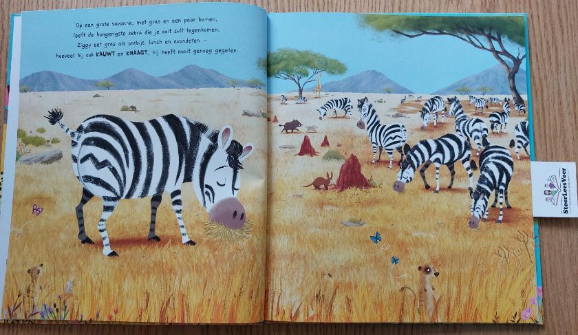 zebra savanne