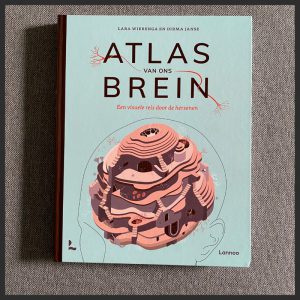 Atlas van ons brein