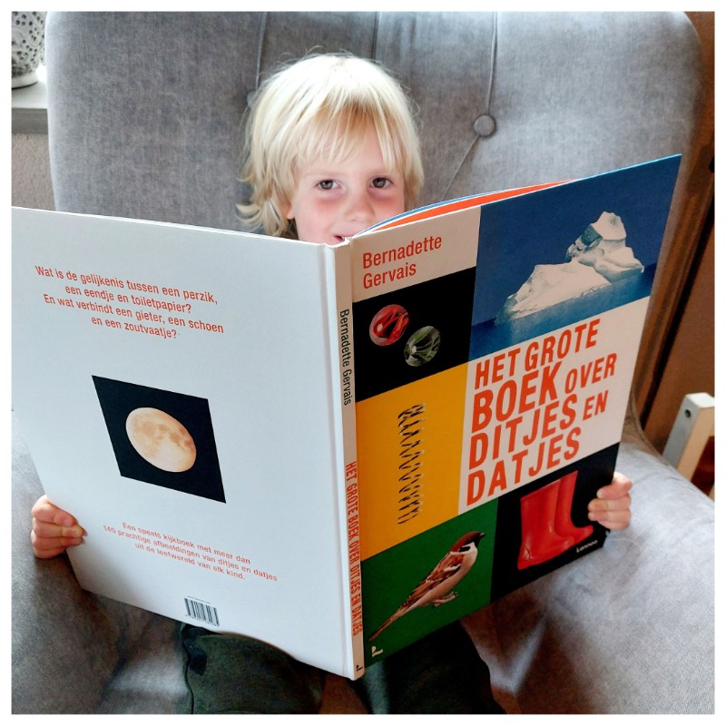 Het grote boek over ditjes en datjes
