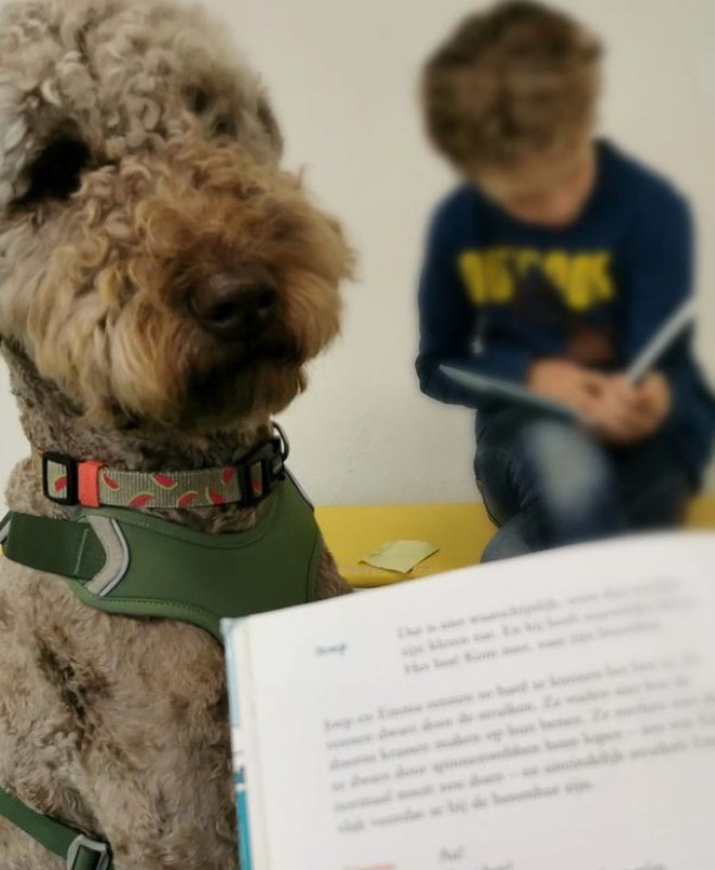 Lezen met een schoolhond