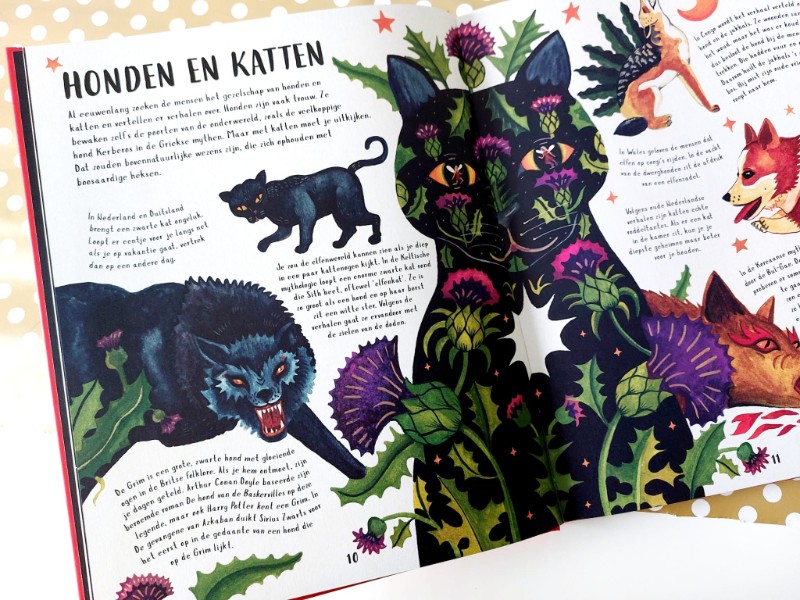honden en katten