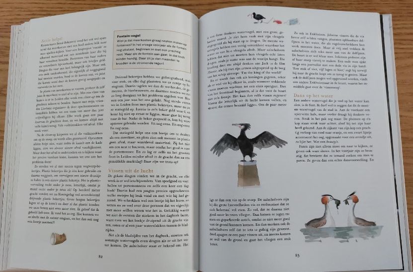 vogels in de stad