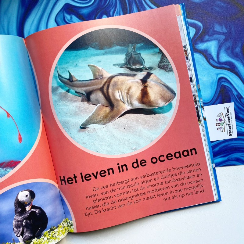 het leven in de oceaan