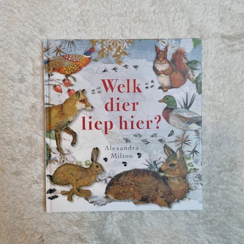 Welk diep liep hier?
