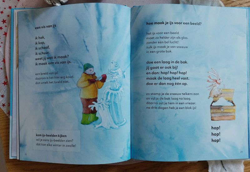 ijs opdracht