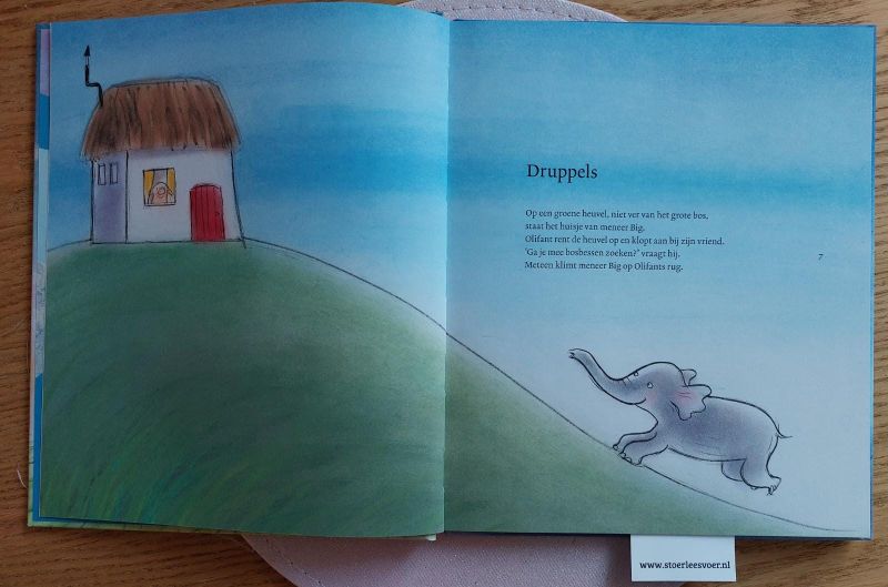 Meneer big en de grote storm