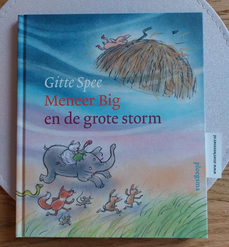Meneer big en de grote storm