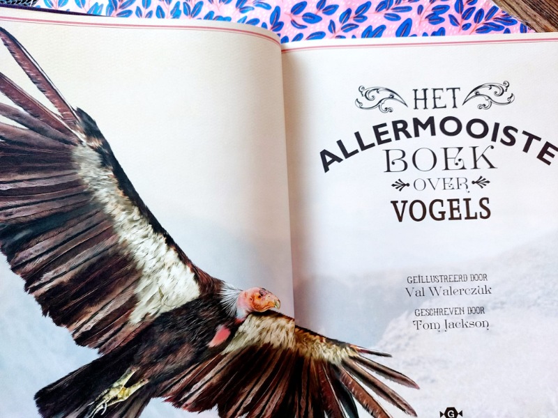Het allermooiste boek over vogels