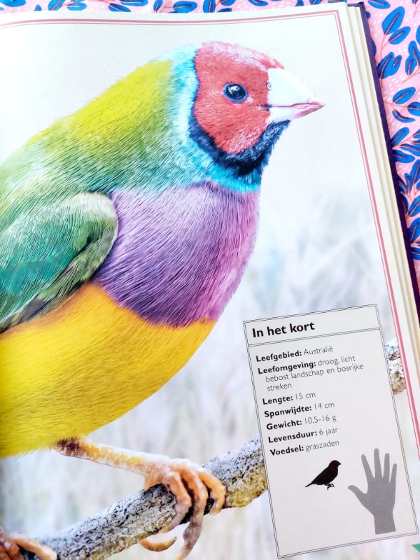 Het allermooiste boek over vogels