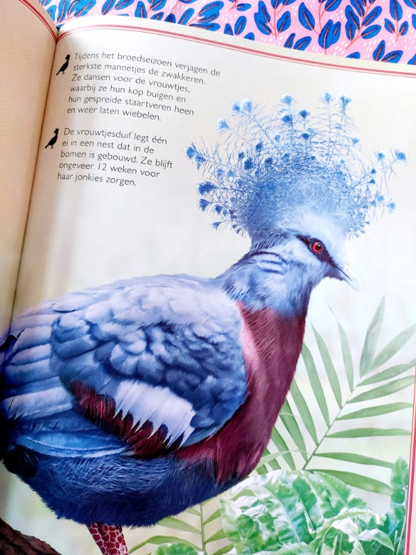 Het allermooiste boek over vogels