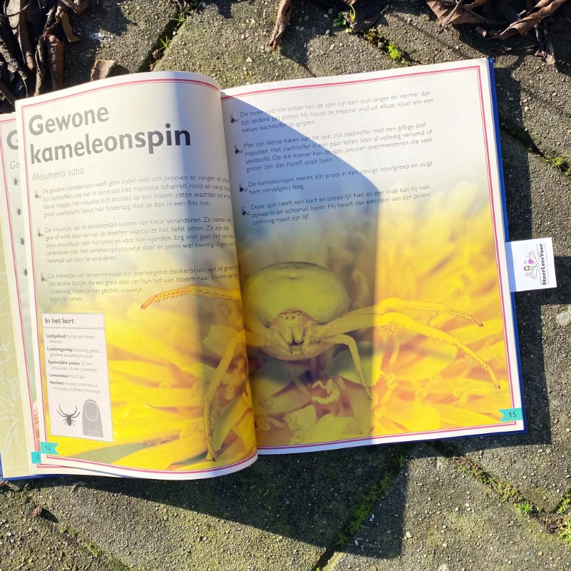 Het allermooiste boek over spinnen en insecten
