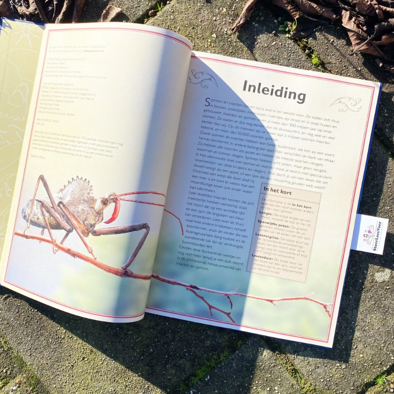 Het allermooiste boek over spinnen en insecten