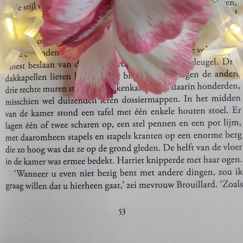 Sterren in de duisternis