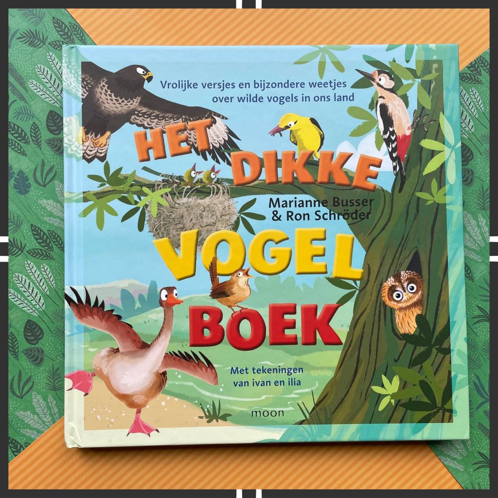 Het dikke vogelboek